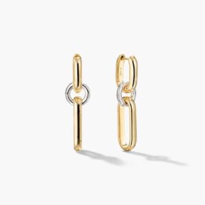 Modern Two-Tone Link Drop Earrings in Gold & Silver